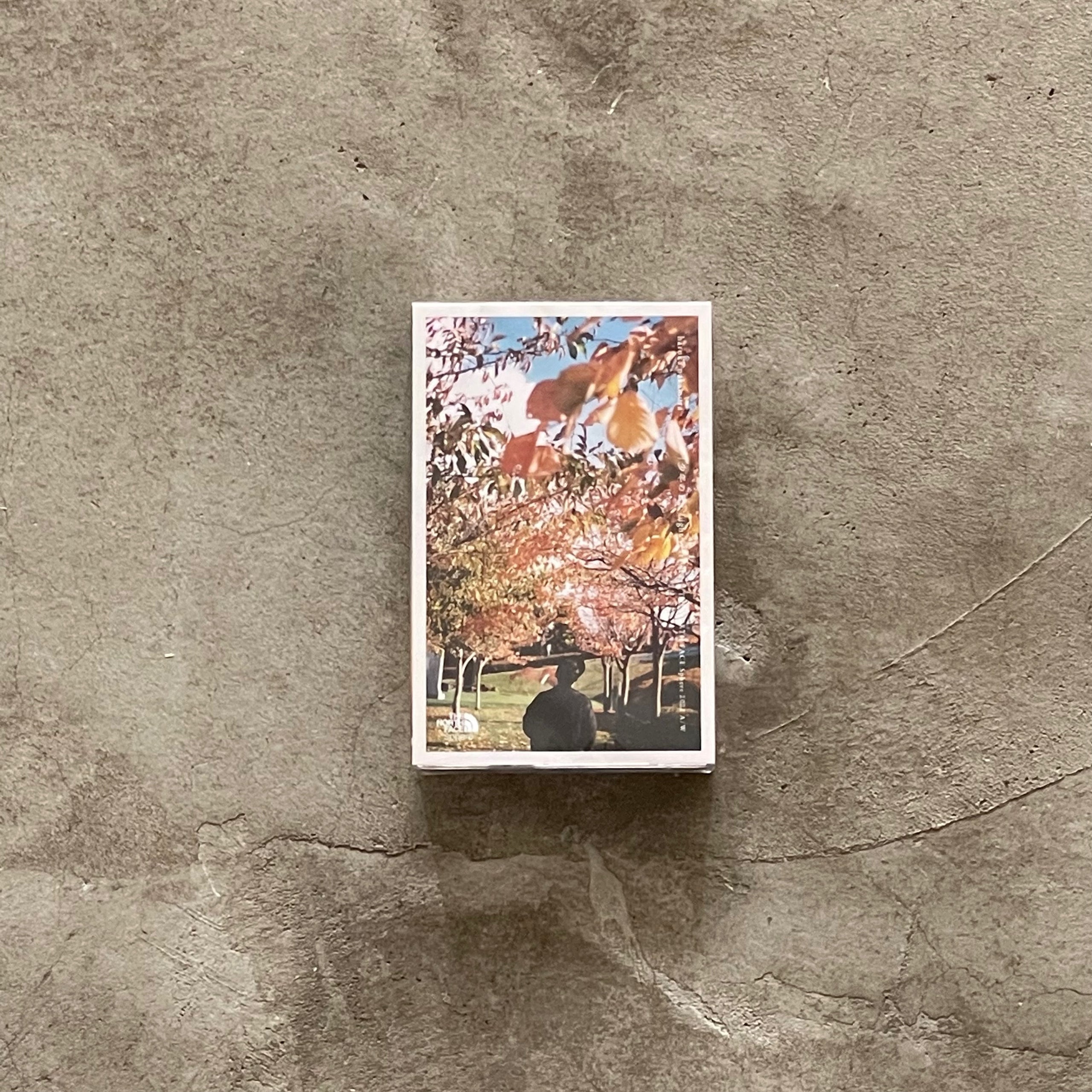 haruka nakamura 少年の日 light years 2 カセット